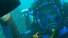 Dive Detectives show