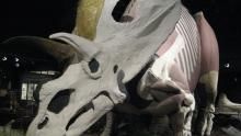 Dino Mania show