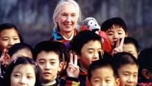 珍古德中國行 Jane Goodall:China Diary 節目
