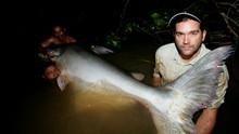 Monster Fish show
