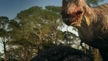 Dino Death Match show