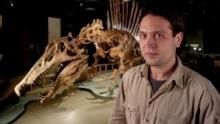 الديناصورات : وحوش رائعة برنامج