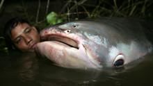 البحث عن سمكة الأمازون العملاقة برنامج