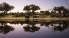 Into the Okavango show