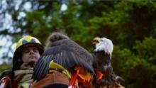 Alaska Animal Rescue: Risky Rescues show