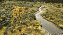 Wild Uganda: Perils In Paradise  show
