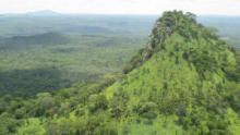 Gorongosa: Paradise Reborn show