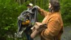 Alaska Animal Rescue: Wild Moose Chase