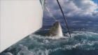Wicked Tuna: North vs South: Fishing Up A Storm