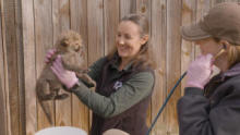 Secrets of the Zoo Wild Women Compilations S2  show
