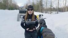 Dr. Oakley, Yukon Vet Compilations S6 - Ice Ice Oakley show