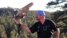 The Wild Life of Dr. Ole  show