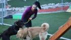 Cesar Millan: Better Human, Better Dog: Dog Therapy