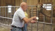 The Incredible Dr Pol S12 show