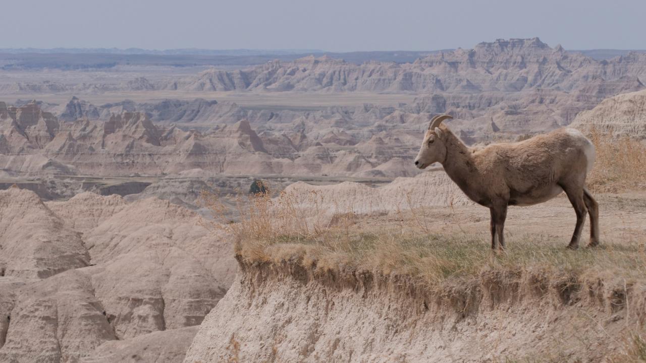 https://assets-natgeotv.fnghub.com/Shows/87963.jpg