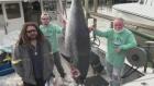 سمكة التونة العنيدة: ضفاف أوتر بانكس