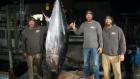 Wicked Tuna: Outer Bank Showdown: Ultimate Champion