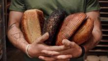 World Eats Bread show
