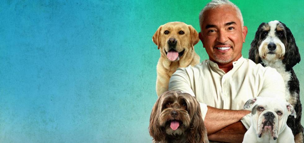 Cesar Millan: Better Human Better Dog