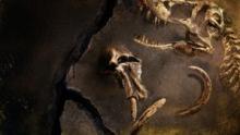 Lost Beasts Unearthed show