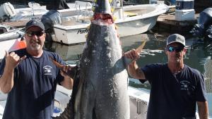 Wicked Tuna