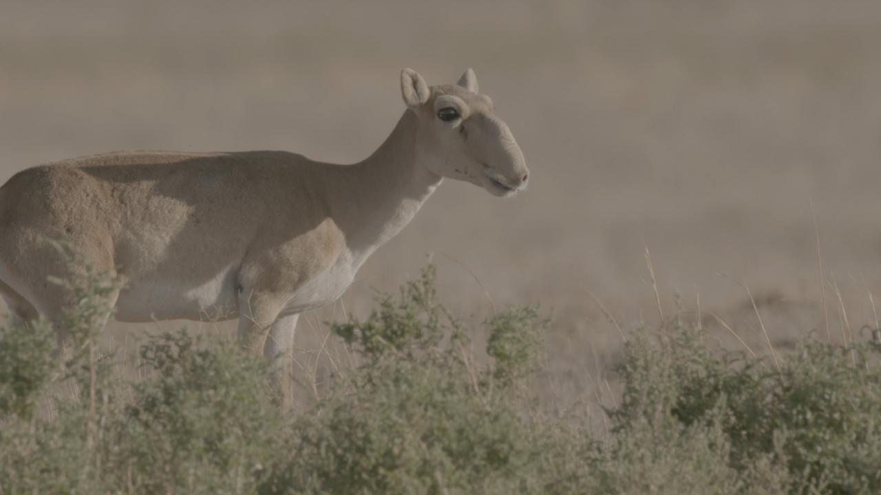 https://assets-natgeotv.fnghub.com/Shows/89793.jpg