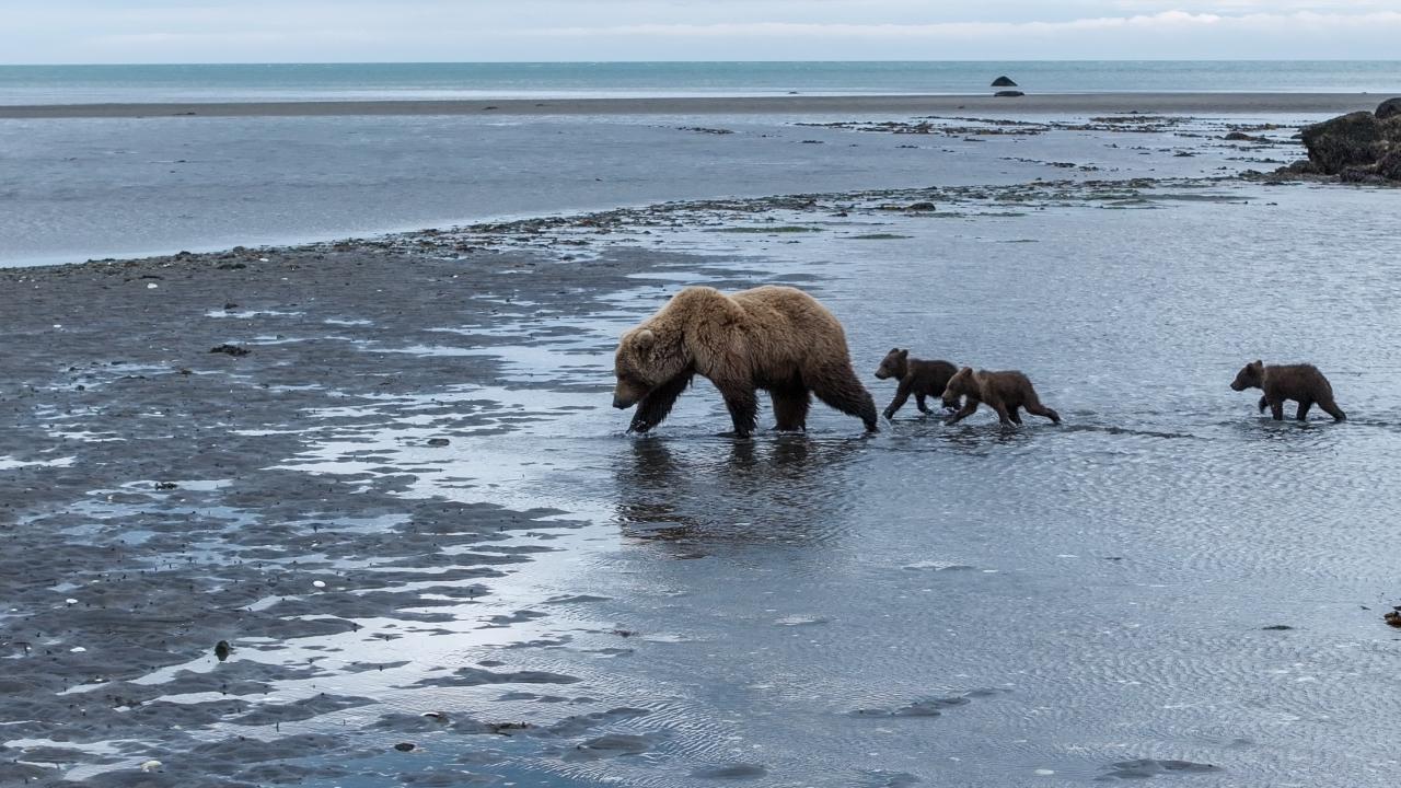 https://assets-natgeotv.fnghub.com/Shows/89849.jpg