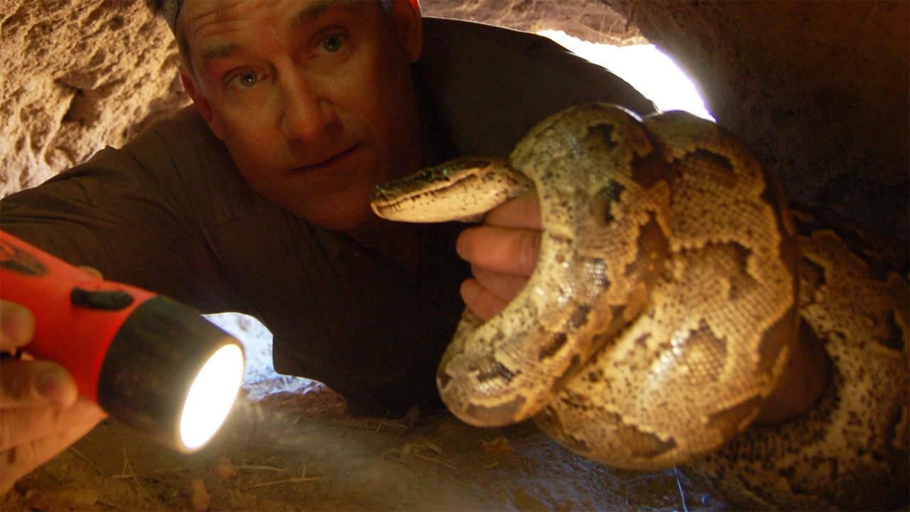 Watch Dangerous Encounters Videos Online - National Geographic Channel -  Asia