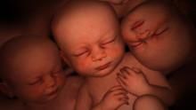 子宮內日記: 多胞胎 In The Womb:Twins,Triplets & Quads 節目