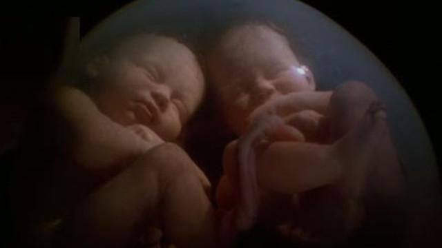 watch-in-the-womb-videos-online-national-geographic-channel-india