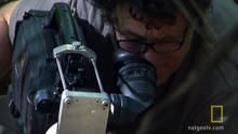 Filming Ants show