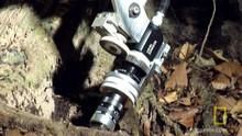 Jungle Camera show