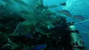 Underwater Cameras photo