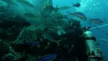 Underwater Cameras show
