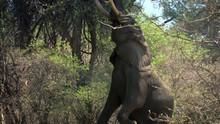 A River Untamed show