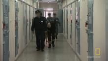 Black Dolphin Prison show