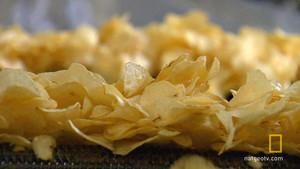 Potato Chips Galore photo