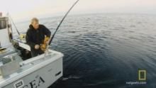 Solo Tuna Fishing show