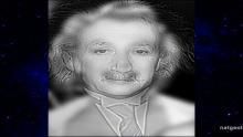 Einstein and Monroe show