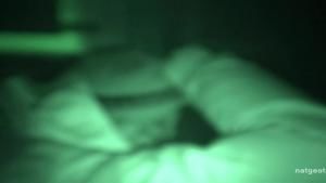 A Bear in the Night photo
