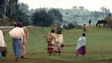 Into Kenya show
