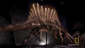 Aquatic Dinosaur photo