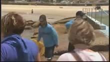 Australia Day show
