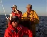 Can Blue Whales Communicate? show