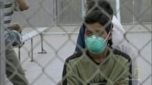 Webisode:  Swine flu outbreak show