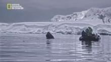 القارة 7: أنتاركتيكا برنامج