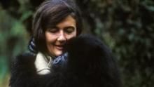 Who is Dian Fossey? show