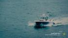 Wicked Tuna
