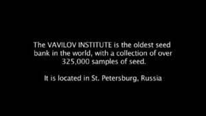 The Vavilov Institute photo