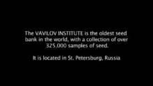 The Vavilov Institute show